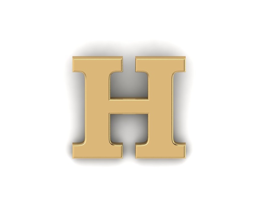 Gold Letter H Pin