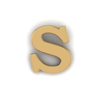 Gold Letter S Pin