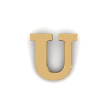 Gold Letter U Pin