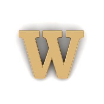 Gold Letter W Pin