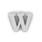 Letter W Pin