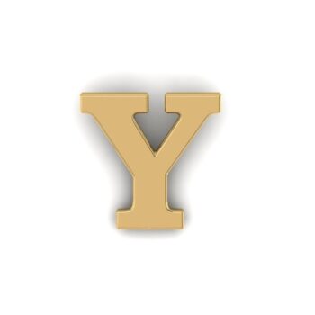 Gold Letter Y Pin