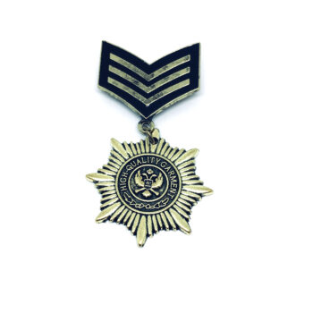 Gold plated Military Pin
