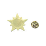 Gold plated Star Pin