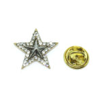 Crystal Star Lapel Pin