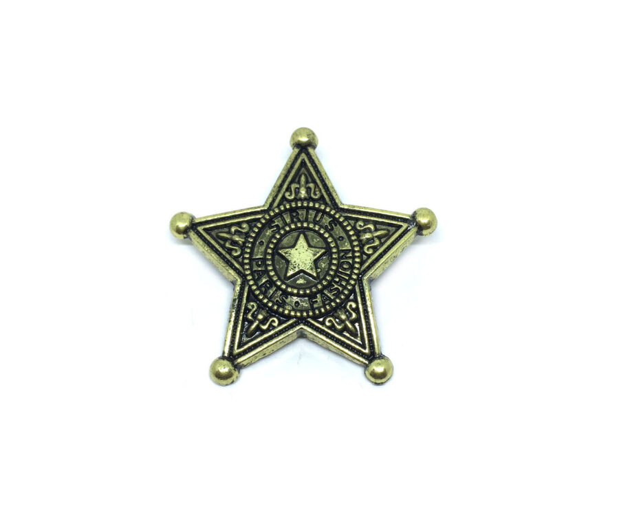Antique Star Brooch Pin