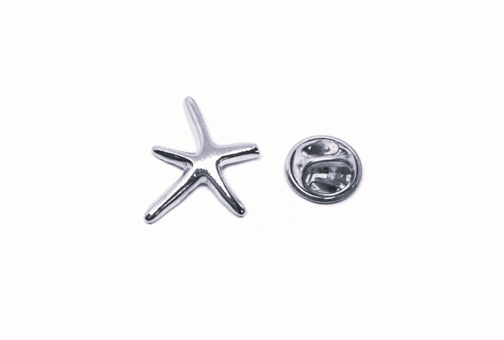 Small Silver Starfish Pin