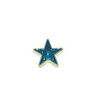 Blue Star Pin Badge