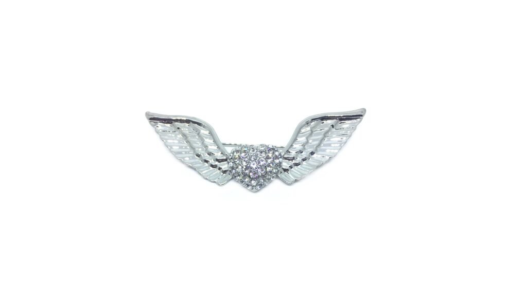 Angel Wing Pins FINOX