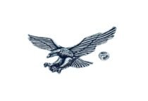 Pewter Eagle Pin