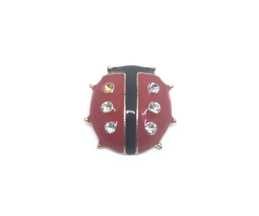 Rhinestone Red & Black Ladybird Pin