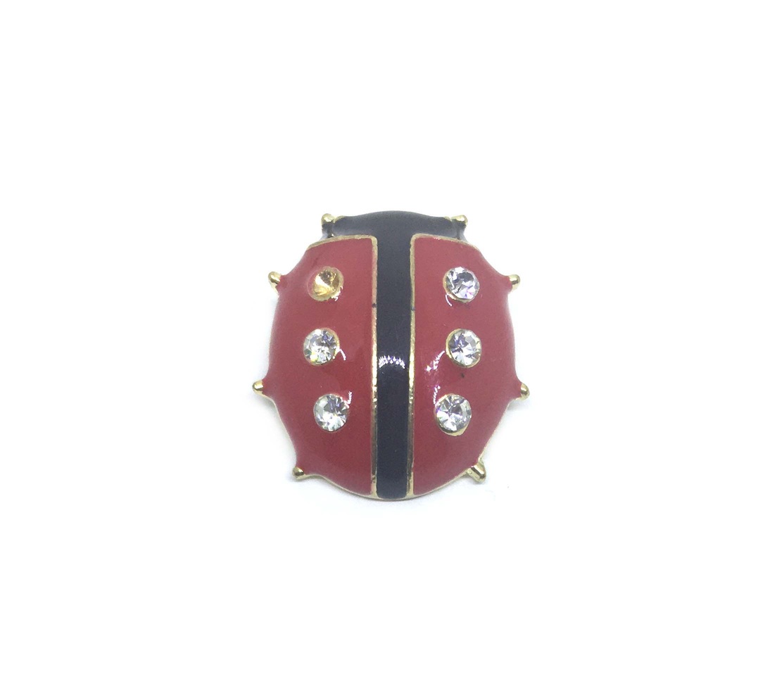 Red & Black Ladybird Pin