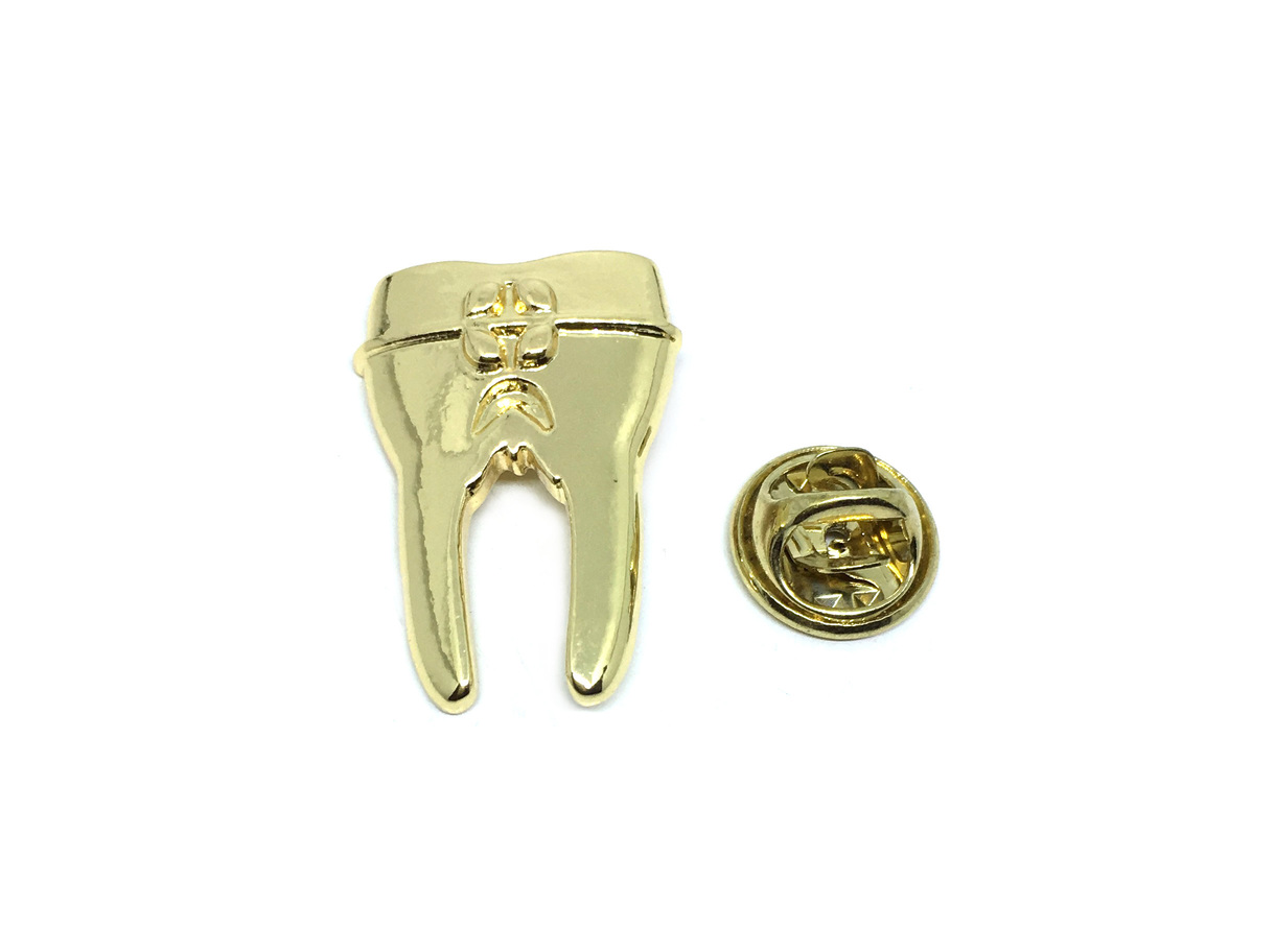 Tooth Medical Pin