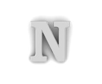 Letter N Pin - Silver