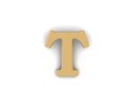 FPAL-020-Letter T Pin – Gold