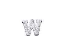 Silver Alphabet Letter W Pin