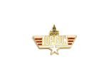 US Navy Top Gun Enamel Pin