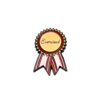Personalized Quotes Medal Award Pin