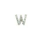 FPAL-027 Rhinestone Initial Pin