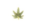 FWEED-003 Gold plated Weed Pin
