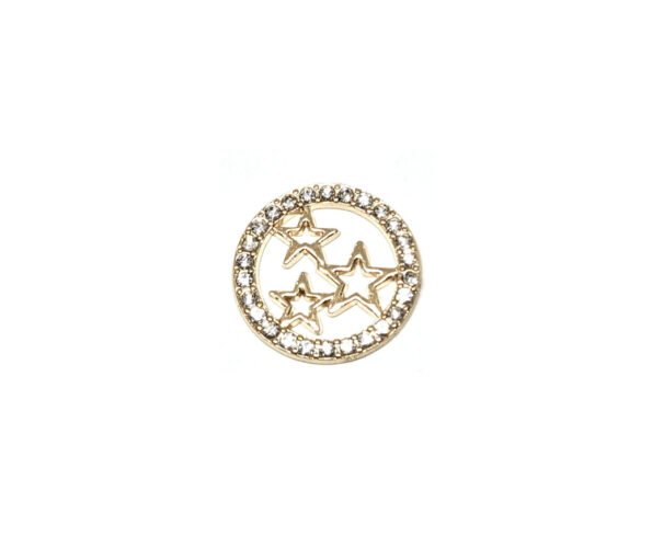 Star Round Lapel Pin - gold plated