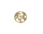 Crystal Star Round Pin - Gold filled