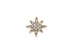 Golden Star Lapel Pin