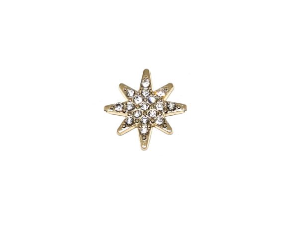 Golden Star Lapel Pin