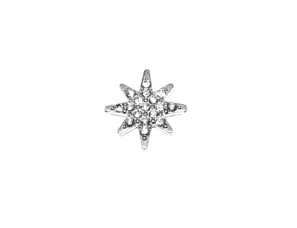 Star Lapel Pins