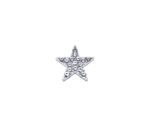 FSTR-060 Sparkle Star Lapel Pin