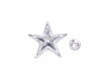 Star Pins for Employees