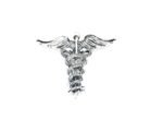 FPEW-306 Pewter Medical Symbol Caduceus Pin