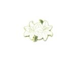 Easter Lily Pins